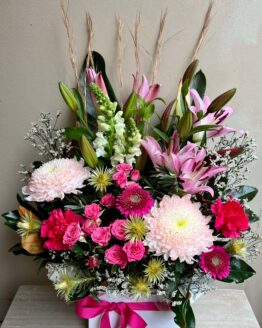 Shades of Pink Box - X X LARGE