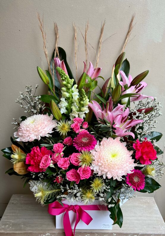 Shades of Pink Box - X X LARGE