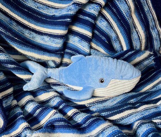 Whale Plush Toy